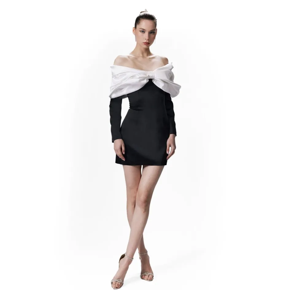 Gigii's Mini Dresses | Lavinya Dress - Black White